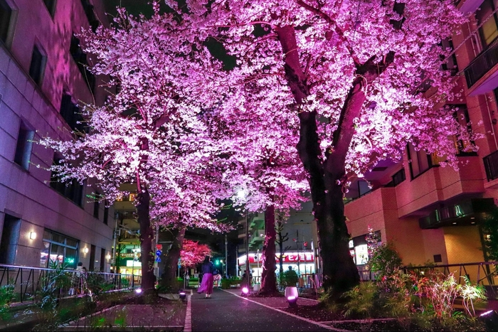 ※2025年 野一色由佳＿最優秀賞