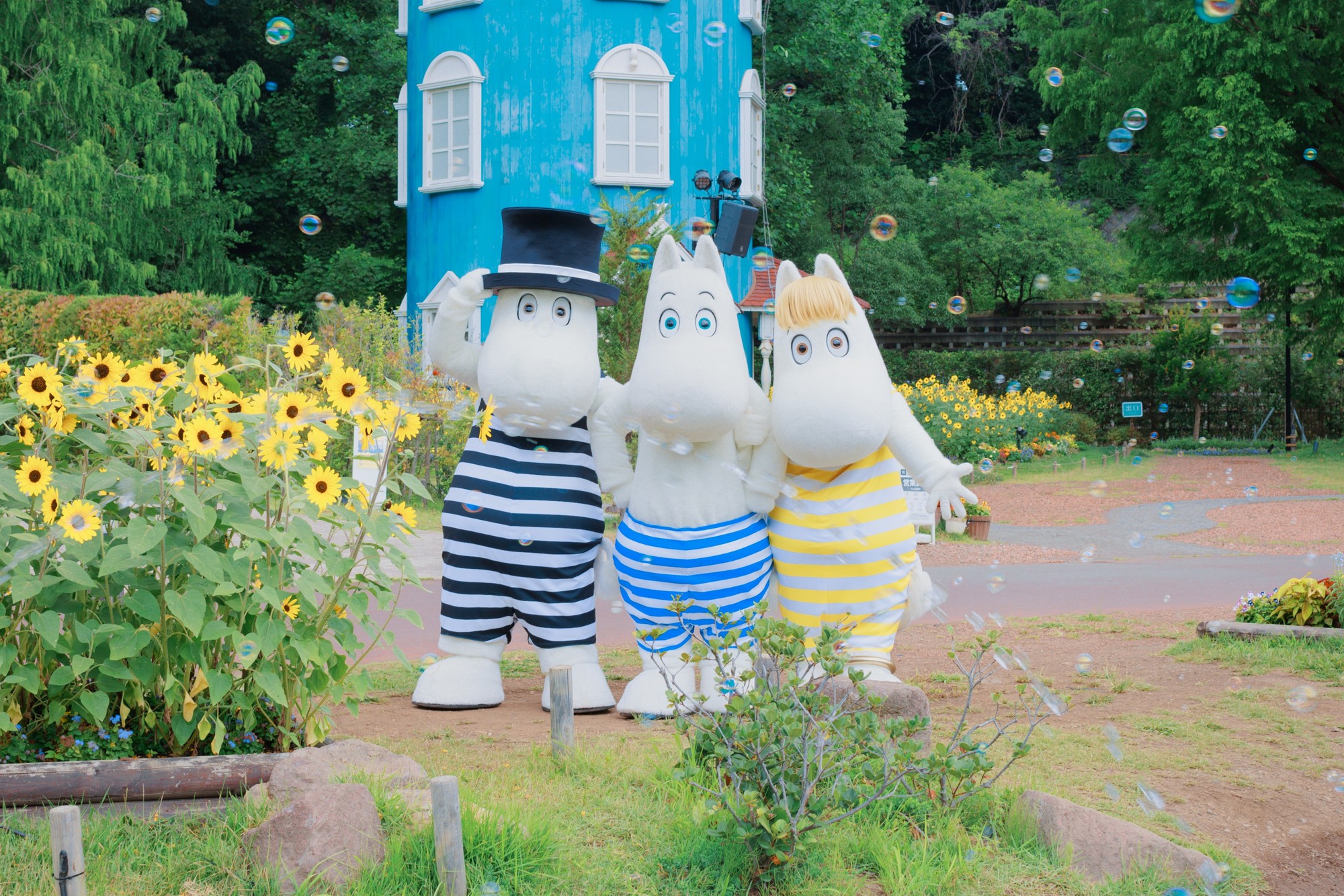 ※画像はイメージです
