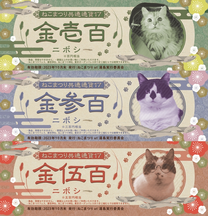 ねこまつり通貨ニボシー