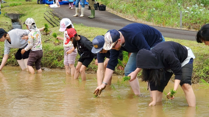 田植え