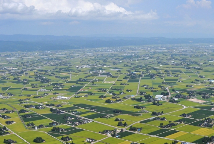 富山県砺波平野の散居村