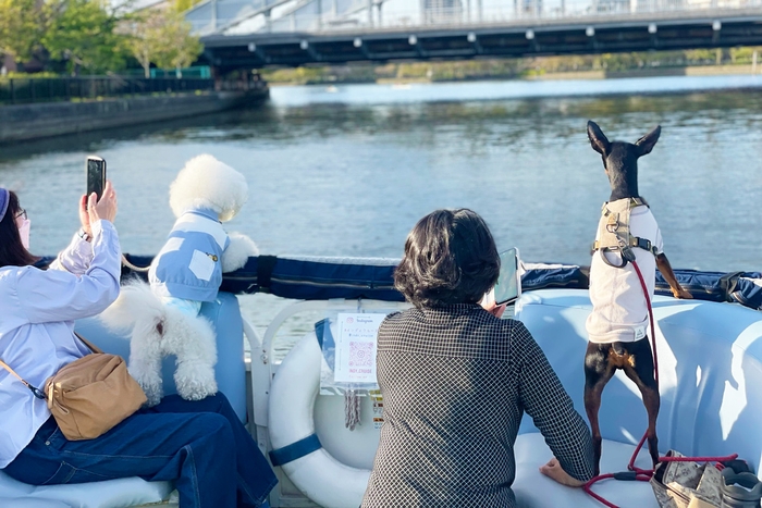 愛犬と一緒にクルージング