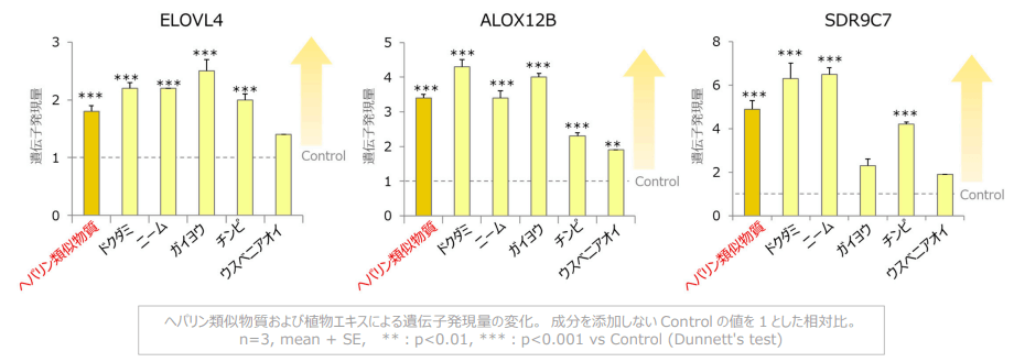 図1 結合型セラミドの生成に関わる酵素の遺伝子発現に対する作用