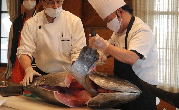 第33回飛鳥祭（オンライン開催）での近大マグロ解体ショーの様子