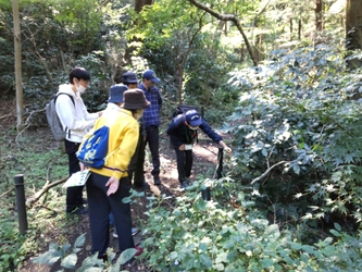 桜ヶ丘公園　12月のガイドウォーク