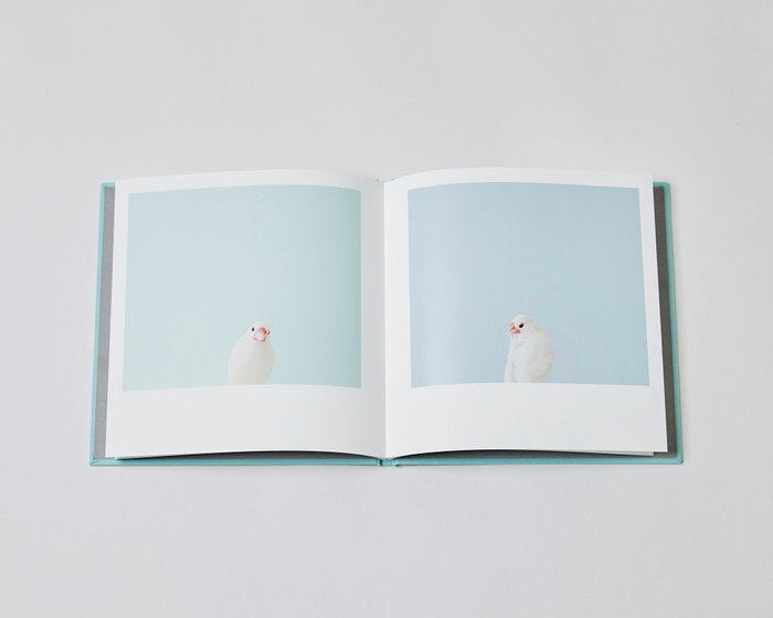 写真集『BECKBOOK』書影_9
