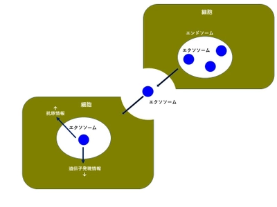 国立大学教授宇都義浩氏と学術顧問契約を締結