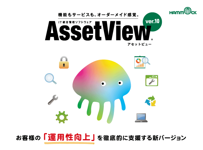 AssetView