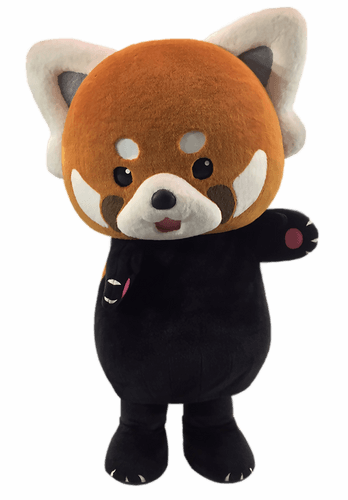 風太くん