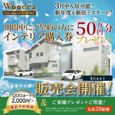 インテリア購入券50万円分