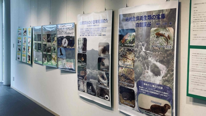 会場では絶滅危惧種の動物たちのパネル展示も