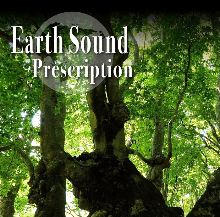 Earth Sound Prescription