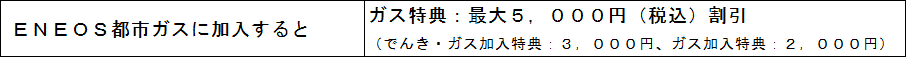 おうちのENEOSはじめようキャンペーン特典