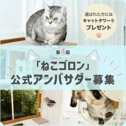 窓枠につけるキャットタワー『ねこゴロン』 Instagramにて第4回公式アンバサダーを 3月22日から3月31日まで募集！