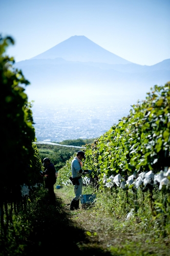 「登美の丘ワイナリー」イメージ