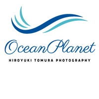 OCEAN PLANET　水中写真家・戸村裕行