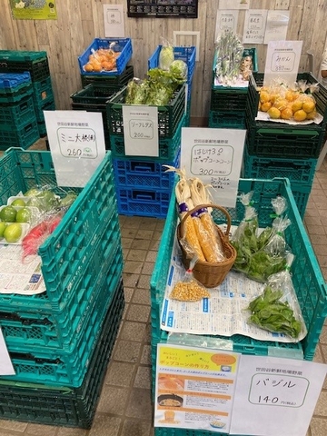 砧公園（過去の様子）