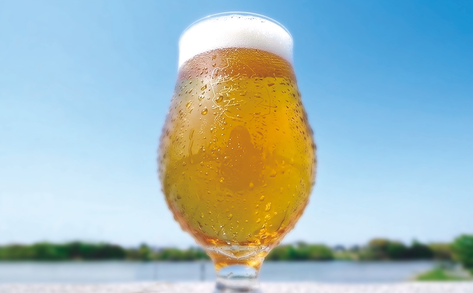 LAKE BREW by越谷麦酒