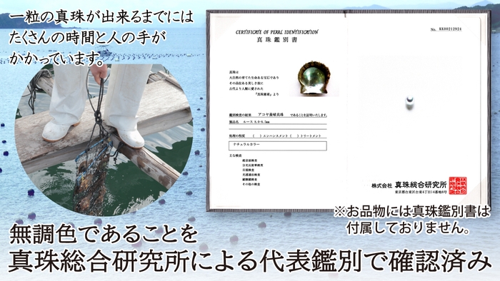 無調色は代表鑑別で確認済