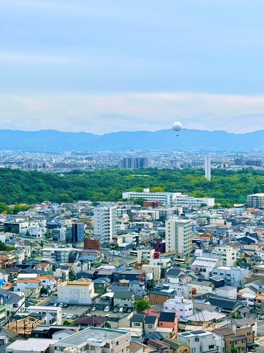 堺市役所からの眺め