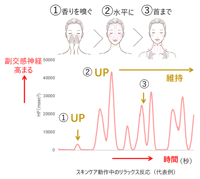 研究②　肌修復機能を高める「スキンケアメソッド３要素」