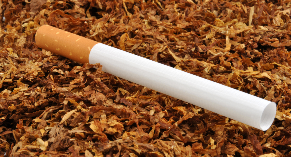 世界のロールユアオーナー型タバコ製品の市場規模は、2027年までに101.2億米ドルに達すると予想される