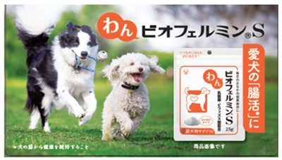 「わんビオフェルミンS」、「にゃんビオフェルミンS」を
東海地区最大級のペットイベント「わんにゃんドーム2026」に初出展
