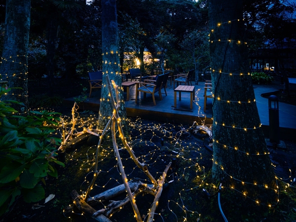 湘南の宝石 (2022 年11月)