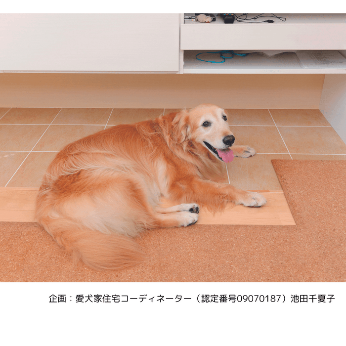 愛犬家住宅事例