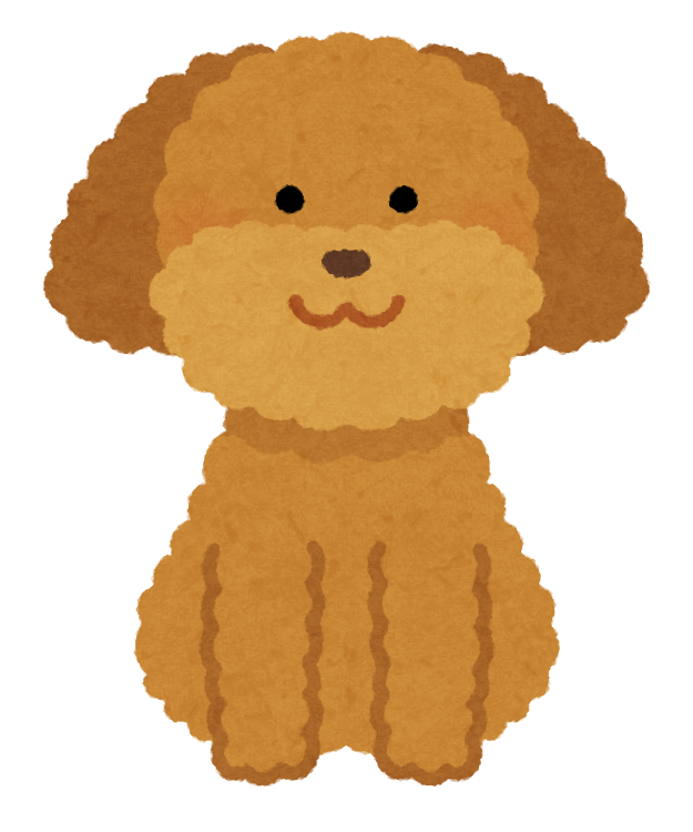 NEWSCASTスタッフおすすめのわんちゃん3選