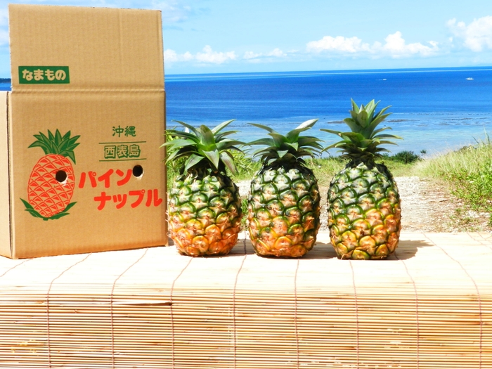 10,000円リターンパインイメージ画像