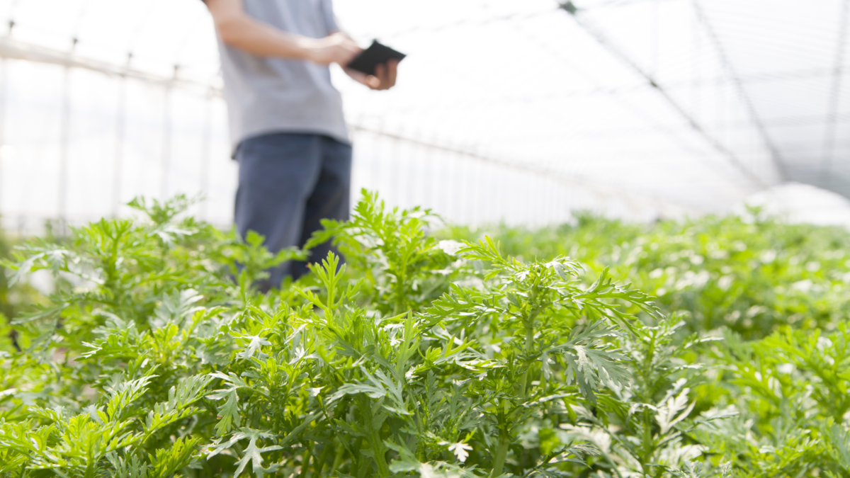 アグリビジネス向けバイオプラスチック市場は年平均成長率16.27%で成長する見込み