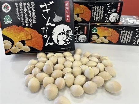 愛知の秋の味覚を楽しもう!
JAタウンのショップ「あいちゴコロ」で「祖父江ぎんなん」「次郎柿」などを販売中