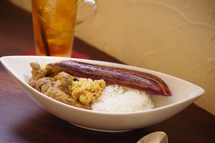 茄子と生生姜の乗った酵素カレー