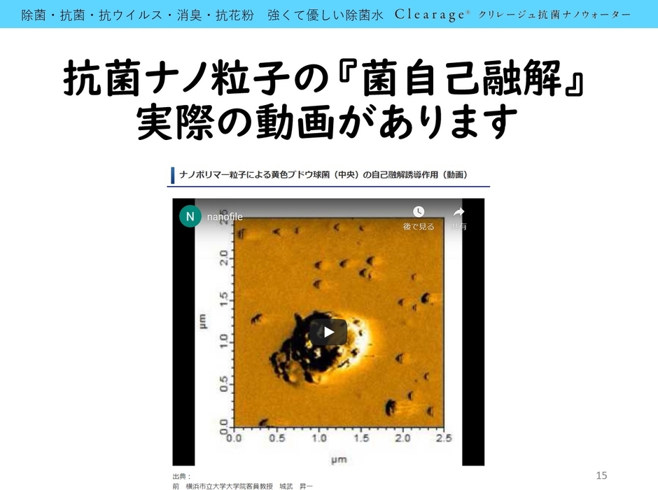 菌自己融解動画の存在