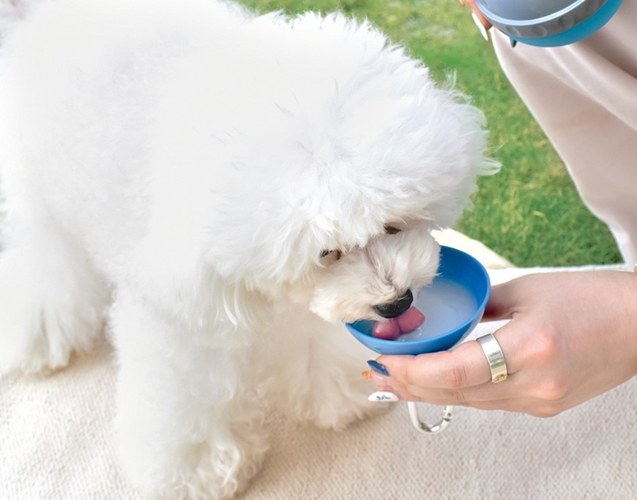 商品イメージ(3)