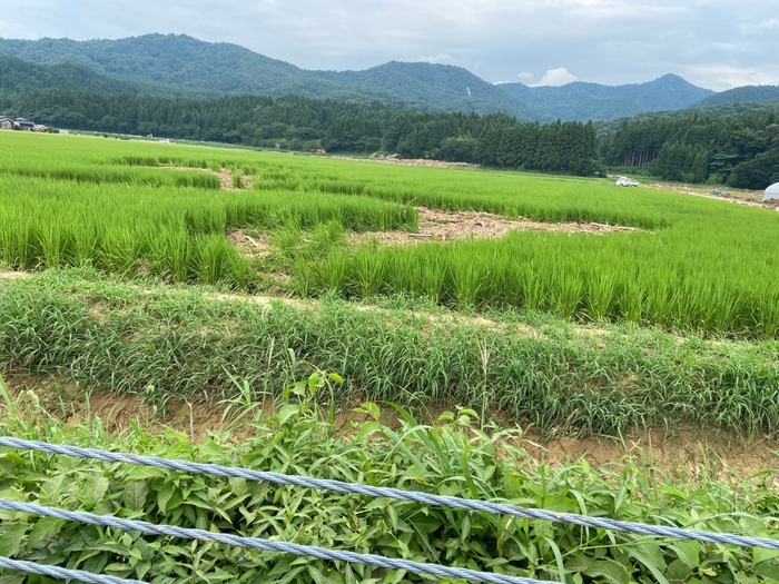 3. 新潟県村上市 被災状況