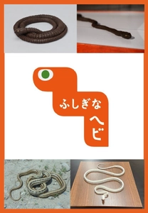 自在置物のヘビが動き出す！ 文理融合型の展示キット「ふしぎなヘビ」 貸し出し申し込みの募集を開始いたします