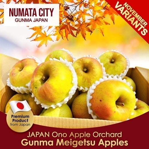 Qoo10フェア:ぐんま名月