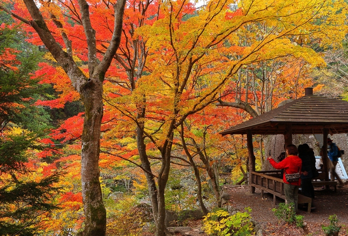 秋の昇仙峡「遊歩道」紅葉スポット2