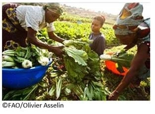 ダニエル・グスタフソン国連食糧農業機関（FAO）事務局次長講演会 「持続可能な社会を支える農業 ～飢餓をゼロに・FAOと日本の役割～」 1月2９日（月）に、駿河台キャンパスで開催