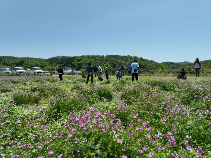 【ココトモワークスジュニアのれんげイベント】