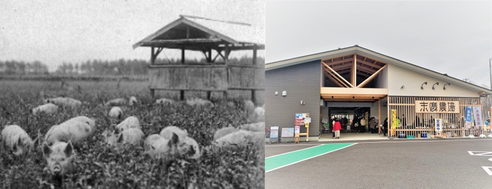 左：かつての末廣農場(写真所蔵：橘家)　右：観光・交流拠点末廣農場(写真所蔵：富里市)