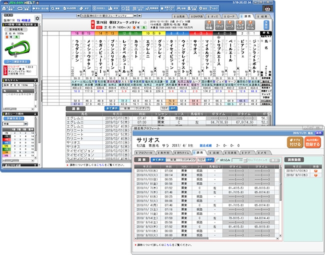 NEXT調教タイム