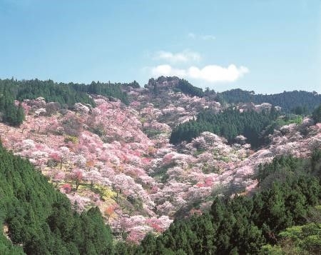 吉野熊野国立公園