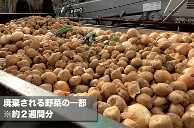 廃棄される野菜2週間分