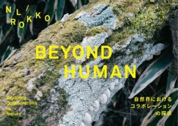 神戸六甲ミーツ・アート2024 beyond オランダゆかりのアーティストが 社会課題をテーマに作品を出展 コンセプトの「BEYOND HUMAN」を発表