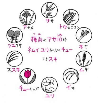 イネ科の植物が覚えられない、という理科のお悩みには、文字暗記法がオススメ。頭文字を抽出すると、そこから「語呂合わせ」も思いつきやすくなります。