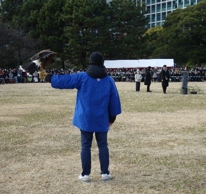 放鷹術の実演（昨年度の様子）