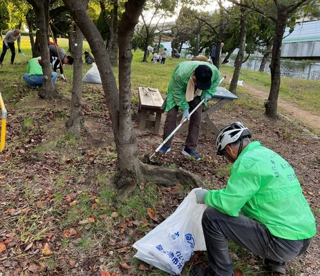 桜の老朽化が深刻　幹の空洞化と腐敗により倒木の危険性が広がる　 市民の力で桜を守りたい！ 桜に肥料を与えるイベントを泉大津市にて2月開催